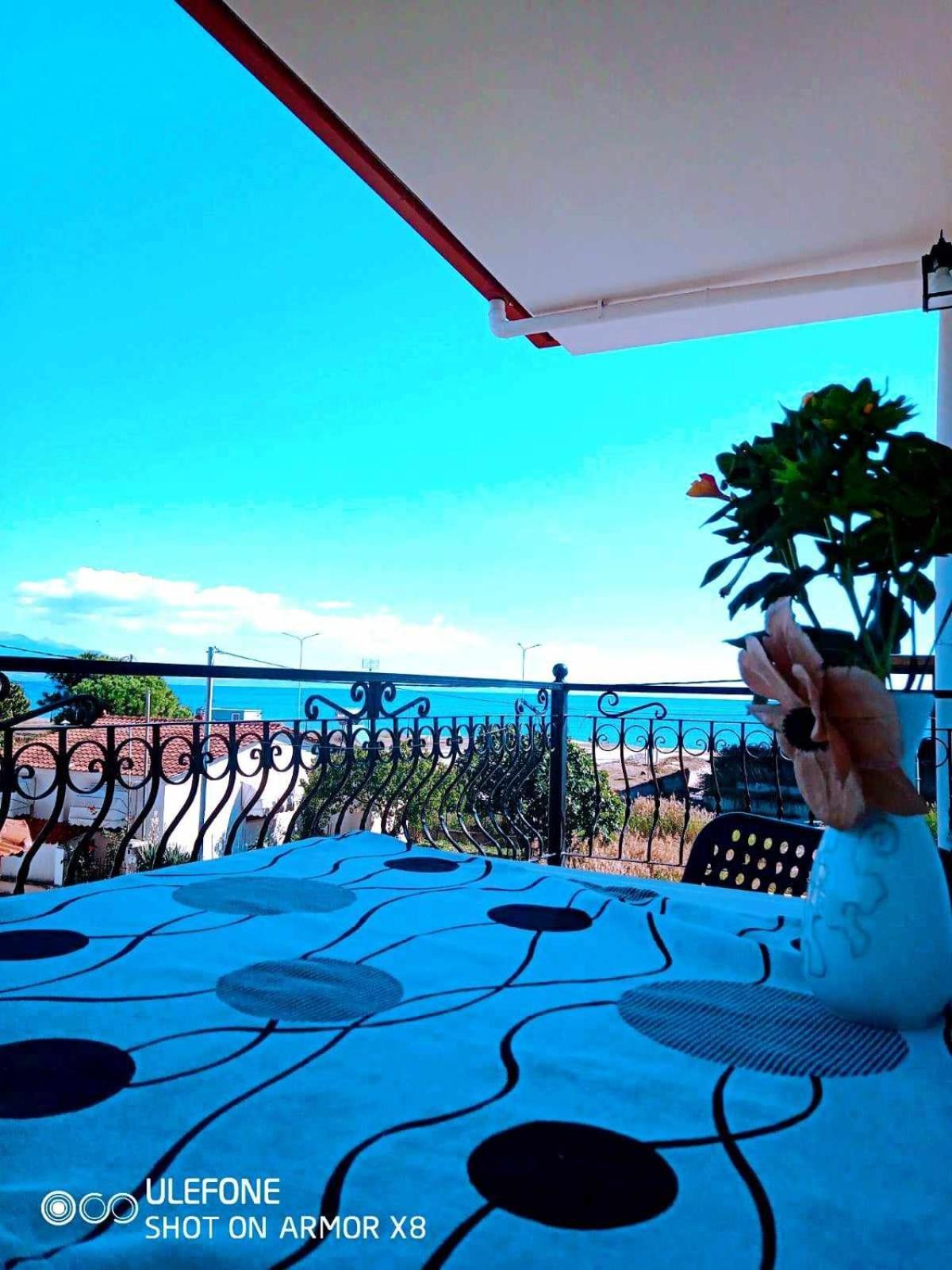 Villa Camellia Vrasná Exteriér fotografie